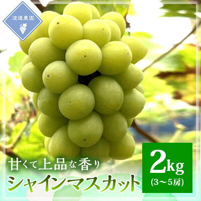 [先行予約 2025年発送]岡山県産 シャインマスカット 3房〜5房(合計2kg)[配送不可地域:離島]