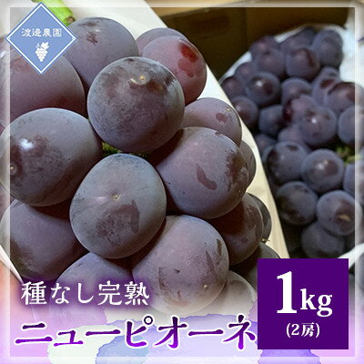 [先行予約 2025年発送]岡山県産 種なし完熟 ニューピオーネ 2房(1kg)[配送不可地域:離島]