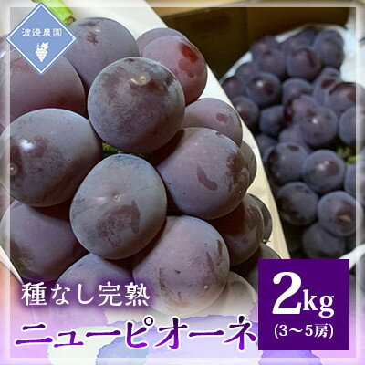 [先行予約 2025年発送]岡山県産 種なし完熟 ニューピオーネ 3房〜5房(合計2kg)[配送不可地域:離島]