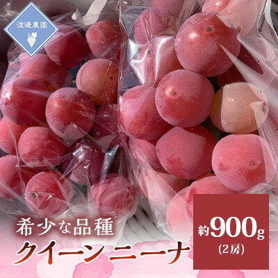 【ふるさと納税】【先行予約 2026年発送】岡山県産　クイーンニーナ 2房 合計約900g【配送不可地域：離..
