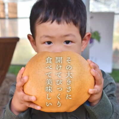 【ふるさと納税】【きよとうファーム】あたご梨 ご家庭用/約5kg(岡山県産)【1566274】