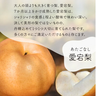 【ふるさと納税】【きよとうファーム】あたご梨 ご家庭用/約5kg(岡山県産)【1566274】