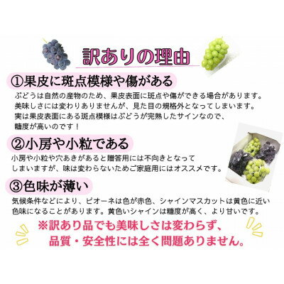 4111026-sk 【数量限定】広島レモン 100ml【日本ゆずレモン】