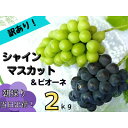 【ふるさと納税】【2025年先行予約】訳あり岡山県産ぶどう詰合せ2kg(シャインマスカット+ピオーネ)【配送不可地域:離島】【1566981】