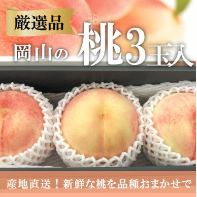 [きよとうファーム][厳選品]旬の桃(品種おまかせ)3玉入(岡山県産)[配送不可地域:離島]