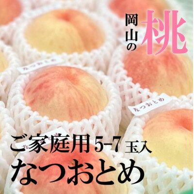 【ふるさと納税】【きよとうファーム】乙女のような可愛い甘い桃 「なつおとめ」家庭用 5-7玉入(岡山県産)【配送不可地域：離島】【1571603】