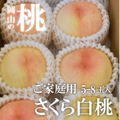 [きよとうファーム]しっかりめの肉質と甘さが絶品「さくら白桃」ご家庭用 5-8玉入(岡山県産)[配送不可地域:離島]