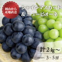 【ふるさと納税】【きよとうファーム】シャインマスカット&ピオーネ 3-5房入/計2kg~(岡山県産)【配送不可地域:離島】【1571762】