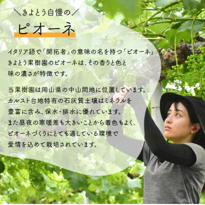 【ふるさと納税】【2026年先行予約】シャインマスカット&ピオーネ 3-5房入/計2kg～(岡山県産)【配送不可地域：離島】【1571762】