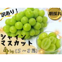 【ふるさと納税】【2025年先行予約】訳あり岡山県産シャインマスカット4kg【配送不可地域:離島】【1571849】