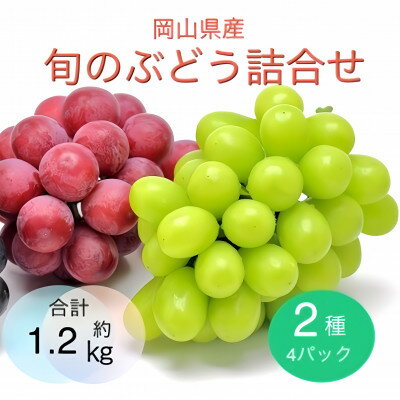 【ふるさと納税】【2025年9月より順次発送】岡山県産 旬のぶどう詰合せ 2種4パックセット【配送不可地域:離島】【1575467】