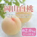 【ふるさと納税】【2025年8月発送予定】岡山白桃 約2.0kg(7〜10玉)【配送不可地域:離島・北海道・沖縄県】【1576280】