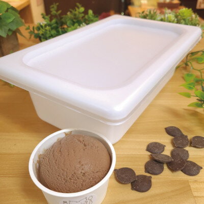 アイス職人の作るこだわり チョコ アイスクリーム 業務用 2リットル入り[配送不可地域:離島]