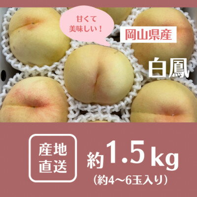 【ふるさと納税】【2025年先行予約】2025年7月中旬頃より発送予定・岡山の白桃・白鳳(1.5kg箱)【配送不可地域:離島】【1578640】 【ふるさと納税】【2025年先行予約】2025年7月中旬頃より発送予定・岡山の白桃・白鳳(1.5kg箱)【配送不可地域:離島】【1578640】