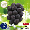 【ふるさと納税】岡山 花笑み農園の『訳ありニューピオーネ』2kg WP-2【2025年9月~順次発送】【配送不可地域:離島・北海道・沖縄県】【1593490】