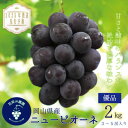 【ふるさと納税】【2026年先行予約】岡山 花笑み農園の『ニューピオーネ』2kg(3~5房)優品 P-2優_ ぶどう ニューピオーネ 葡萄 ブドウ 岡山県産 果物 くだもの フルーツ ギフト 岡山県 津山市 【配送不可地域:離島・北海道・沖縄県】【1593495】