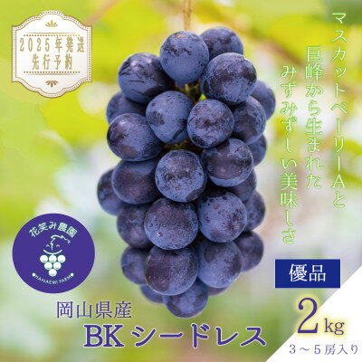 【ふるさと納税】岡山 花笑み農園の『BKシードレス』2kg(3~5房)優品 B-2優【2025年9月中旬~順次発送】【配送不可地域:離島】【1593502】