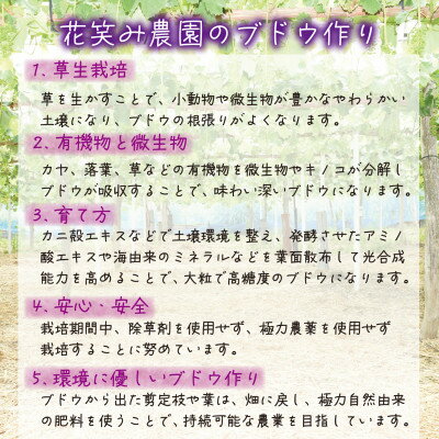 【ふるさと納税】岡山　花笑み農園の『BKシードレス』2kg(3～5房)優品　B-2優【2025年9月中旬～順次発送】【配送不可地域：離島・北海道・沖縄県】【1593502】