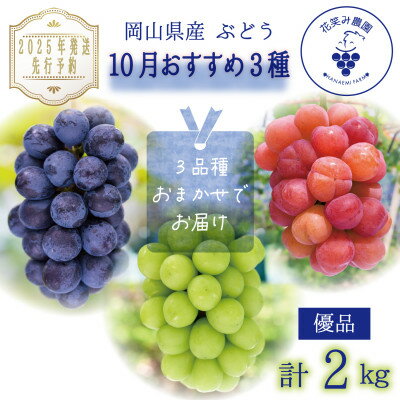 岡山 花笑み農園のブドウ『10月おすすめ 3種』約2kg(3房)優品 3M-2L優[10月〜発送][配送不可地域:離島・北海道・沖縄県]
