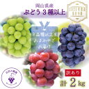 【ふるさと納税】岡山 花笑み農園のブドウ『訳ありMIX3種以上』2kg W3M-2【2025年9月中旬〜順次発送】【配送不可地域:離島】【1593516】