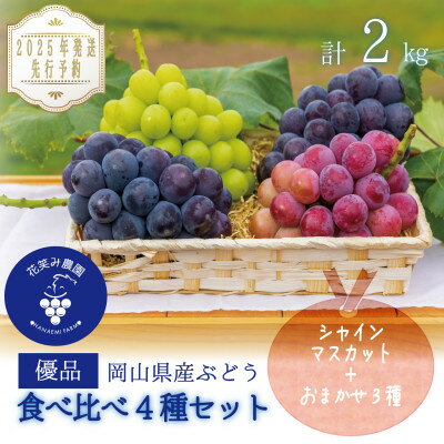 【ふるさと納税】岡山 花笑み農園のブドウ『食べ比べ4種』シャイン入り2kg(4房)優品 4M-2優【9月中旬~出荷】【配送不可地域:離島】【1593520】