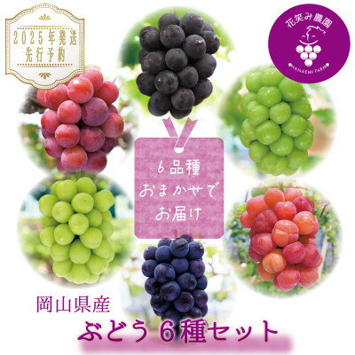岡山 花笑み農園のブドウ『食べ比べ6種セット』 6M-5 [9月下旬〜順次発送][配送不可地域:離島・北海道・沖縄県]