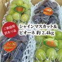 【ふるさと納税】【きよとうファーム】訳ありご家庭用ピオーネとシャインマスカット/計約2.4kg(岡山県産)【配送不可地域:離島】【1602238】