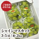 【ふるさと納税】【きよとうファーム】訳あり品 シャインマスカット/約2kg(岡山県産)【配送不可地域:離島】【1602687】