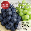 【ふるさと納税】【きよとうファーム】ピオーネ&シャインマスカット詰合せ 大2房/計1.3kg~(岡山県産)【配送不可地域:離島】【1602811】
