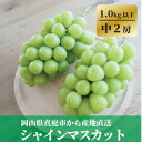 【ふるさと納税】【きよとうファーム】食べ切サイズ シャインマスカット 中2房/計1.0kg~(岡山県産)【配送不可地域:離島】【1602851】
