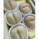 【ふるさと納税】【2025年9月上旬より順次発送予定】しっかりした果肉と果汁たっぷりの岡山の白桃・恵白(1.5kg)【配送不可地域:離島】【1604638】