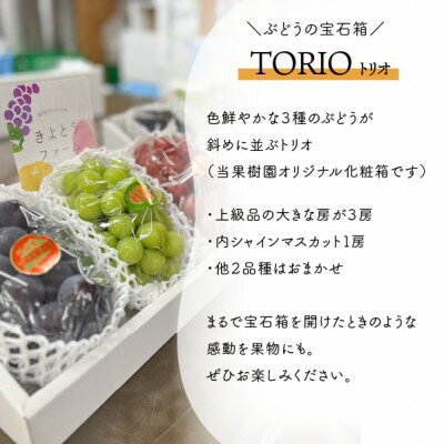 【ふるさと納税】【きよとうファーム】葡萄の宝石箱トリオ(シャインマスカット入り3品種詰合せ)(岡山県産)【配送不可地域：離島】【1606494】