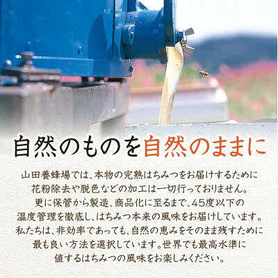 【ふるさと納税】【お試しサイズ】里山のからすさんしょう蜂蜜 120g_ はちみつ 国産天然蜜 健康食品 スーパーフード ハチミツ 蜂蜜 ハニー 蜂 蜜 国産 調味料 岡山県 津山市 お試し 120g 山田養蜂場 常温 送料無料 【1607405】