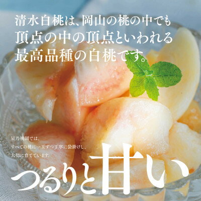【ふるさと納税】【清水白桃】岡山県産 三つ星 星乃桃園 780g (3玉)【配送不可地域：離島】【1614286】