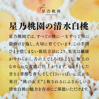 【ふるさと納税】【清水白桃】岡山県産 三つ星 星乃桃園 780g (3玉)【配送不可地域：離島】【1614286】