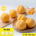【ふるさと納税】【2026年発送】ご家庭用 岡山県産黄金桃 約1.5kg(5~6玉)【配送不可地域:離島】【1614333】