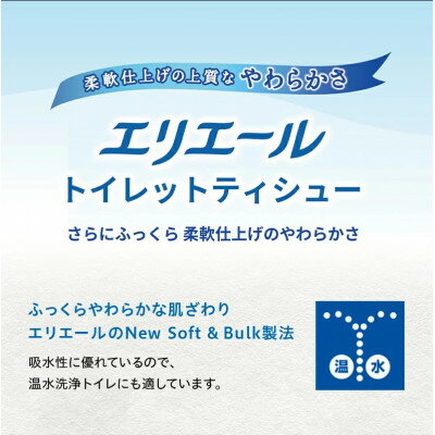 【ふるさと納税】セットE 　トイレットペーパー ダブル　3パック + ティッシュ 5箱× 2パック【配送不可地域：離島・北海道・沖縄県】【1615622】