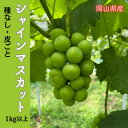 【ふるさと納税】【2025年先行予約】岡山のぶどう(シャインマスカット)1kg以上(2房)【配送不可地域:離島】【1617999】
