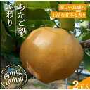 【ふるさと納税】2025年11月下旬より順次発送予定 あたご梨 ふわり(2玉入り)【1619642】