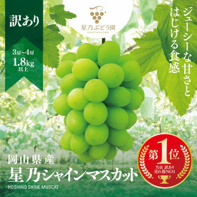 【ふるさと納税】訳あり星乃シャインマスカット(岡山県産) 3~4房(1.8kg以上)【配送不可地域:離島】【1626442】 【ふるさと納税】訳あり星乃シャインマスカット(岡山県産) 3~4房(1.8kg以上)【配送不可地域:離島】【1626442】