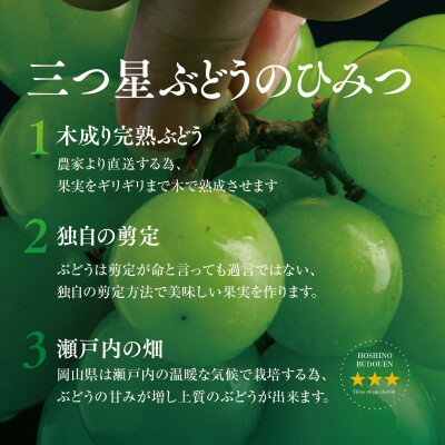 【ふるさと納税】訳あり星乃シャインマスカット(岡山県産) 3～4房(1.8kg以上)【配送不可地域：離島】【1626442】