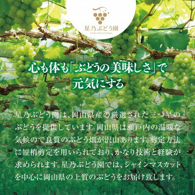 【ふるさと納税】訳あり星乃シャインマスカット(岡山県産) 3～4房(1.8kg以上)【配送不可地域：離島】【1626442】