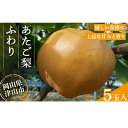 【ふるさと納税】2025年11月下旬より順次発送予定 あたご梨 ふわり(5玉入り)【1626522】