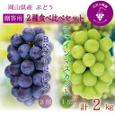 【ふるさと納税】岡山 花笑み農園の『シャインマスカット&BKシードレス』贈答用 約2kg BS-2上 9月下旬~発送【配送不可地域:離島・北海道・沖縄県】【1626552】