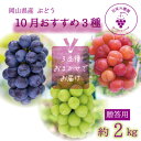 【ふるさと納税】岡山 花笑み農園のブドウ『10月おすすめ3種セット』(3房)贈答用 3M-2L上【10月〜順次発送】【配送不可地域:離島・北海道・沖縄県】【16...