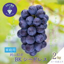 【ふるさと納税】岡山 花笑み農園の『BKシードレス』約2kg家庭用(3~6房) B-2家【9月中旬~順次発送】【配送不可地域:離島・北海道・沖縄県】【1626804】