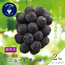 【ふるさと納税】岡山 花笑み農園の『ニューピオーネ』贈答用 約2kg(3~4房) P-2【9月上旬~順次発送】【配送不可地域:離島・北海道・沖縄県】【1627358】