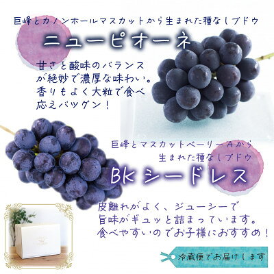 【ふるさと納税】【2027年先行予約】岡山　花笑み農園の『ニューピオーネ&BKシードレス』1kg　(2房)　PB-1_ ニューピオーネ BKシードレス 食べ比べ 1kg 2房 ぶどう フルーツ 果物 送料無料 岡山県 津山市 【配送不可地域：離島・北海道・沖縄県】【1627765】 f332038-tsuyama-10001573 岡山県津山市 サンプル画像2