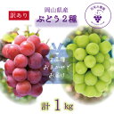 【ふるさと納税】岡山 花笑み農園の『訳あり2種MIX』ブドウ1kg W2M-1【9月中旬~順次発送】【配送不可地域:離島・北海道・沖縄県】【1628310】