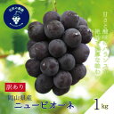 【ふるさと納税】岡山 花笑み農園の 『訳ありニューピオーネ』1kg WP-1【配送不可地域:離島・北海道・沖縄県】【1628312】